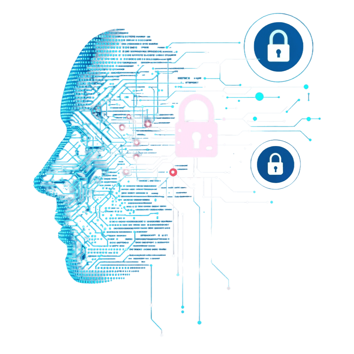 Mirror Secury Discover